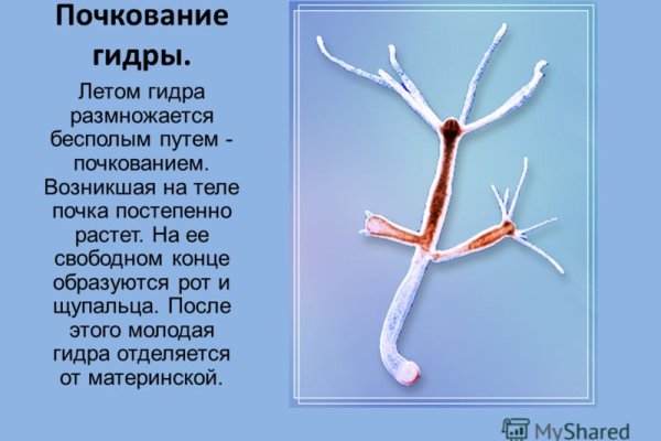 Кракен переходник ссылка