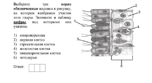 Кракен торговая площадка