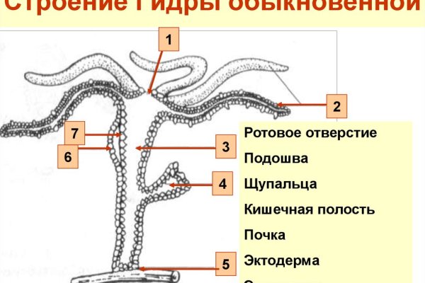 Ссылка на кракен шоп