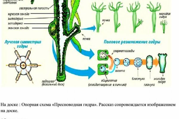 Оригинальная ссылка на кракен