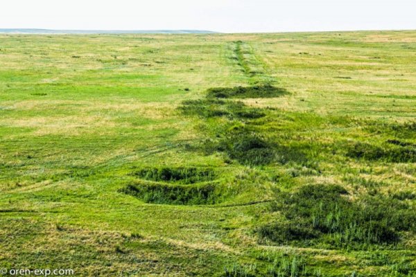 Активная ссылка на кракен