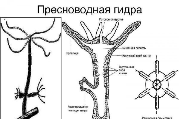 Кракен зеркало gigageek ru